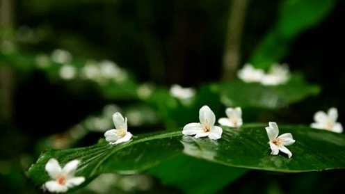  그대 귓가에 닿지 못한 한 마디 말 | 인스티즈