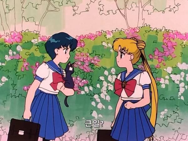 미소녀 전사 세일러문 (美少女戦士セーラームーン) 15 | 인스티즈