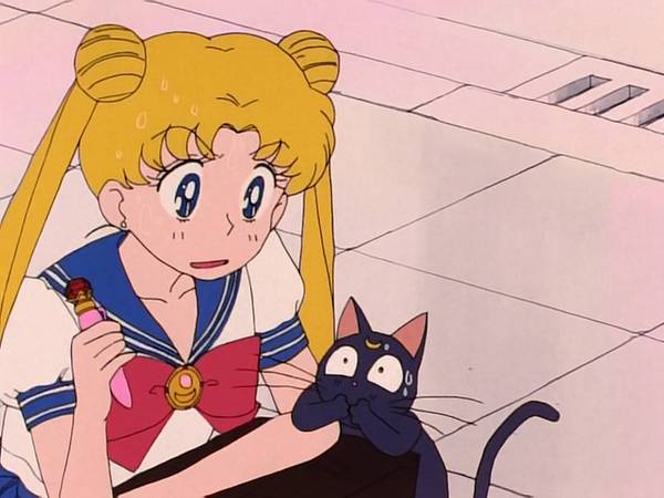 미소녀 전사 세일러문 (美少女戦士セーラームーン) 15 | 인스티즈