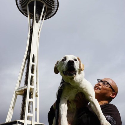 시한부 강아지의 마지막 여행 | 인스티즈