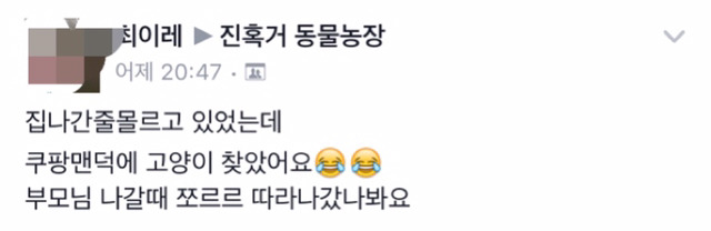 집나간줄모르고있었는데쿠팡맨덕에고양이찾았어요 | 인스티즈