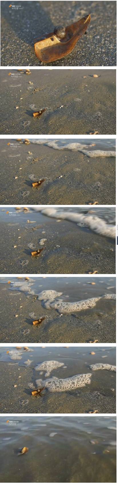 바다를 여행하는 씨앗 | 인스티즈