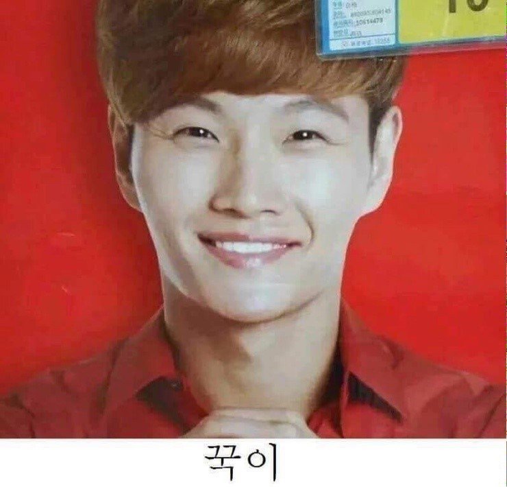 꾹이를 구기면? | 인스티즈