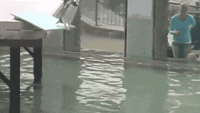 펭귄 다이빙 | 인스티즈