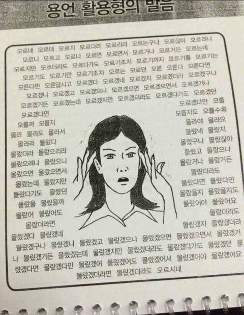 외국인에게 한국어가 어려운 이유.jpg | 인스티즈