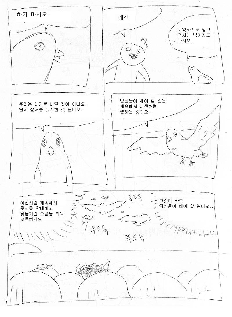 우리가 비둘기를 무시해선 안되는 이유.jpg | 인스티즈