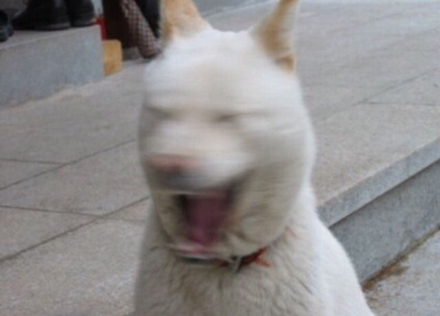 신기한 손 | 인스티즈