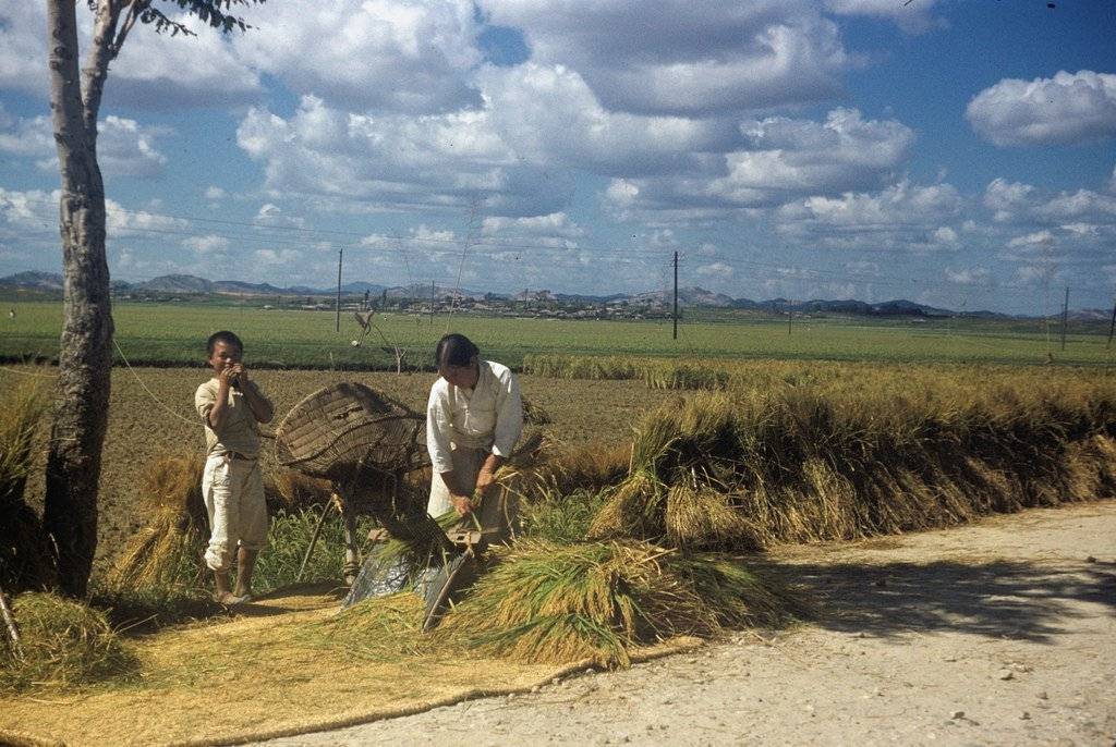 1952년도의 한국 | 인스티즈