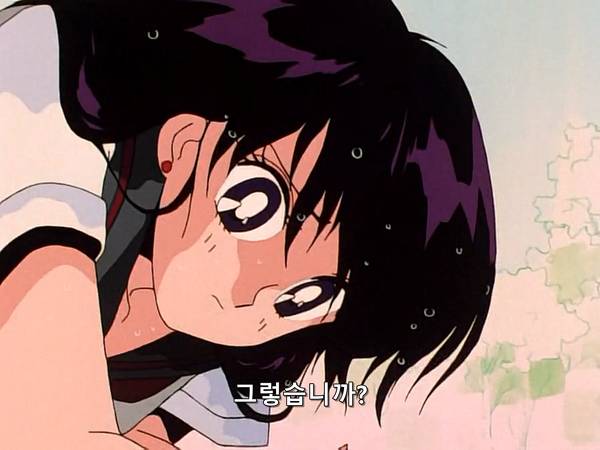 미소녀 전사 세일러문 (美少女戦士セーラームーン) 15 | 인스티즈