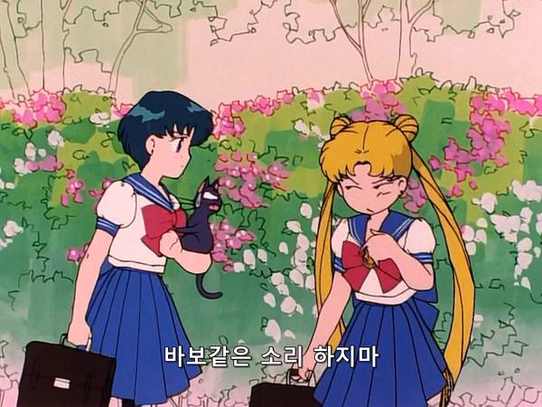 미소녀 전사 세일러문 (美少女戦士セーラームーン) 15 | 인스티즈