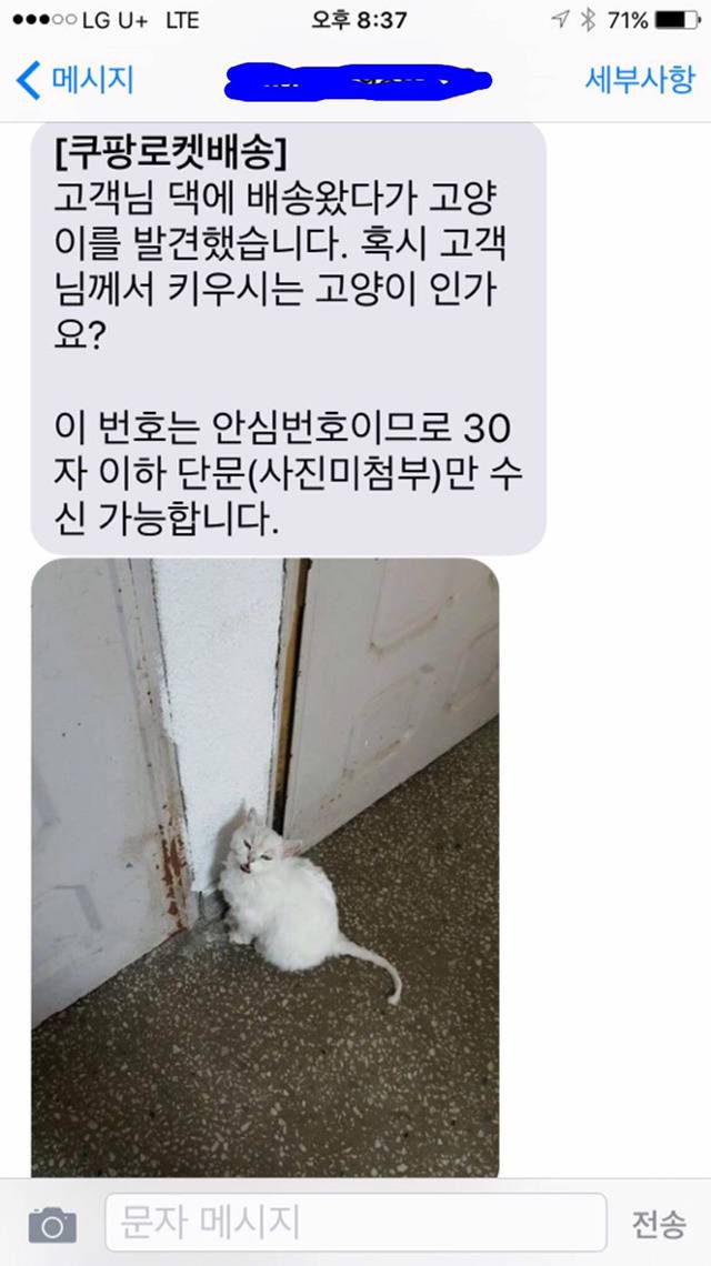 집나간줄모르고있었는데쿠팡맨덕에고양이찾았어요 | 인스티즈