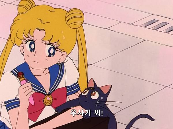 미소녀 전사 세일러문 (美少女戦士セーラームーン) 15 | 인스티즈