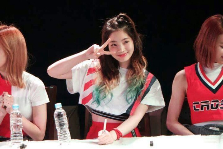 트와이스 두부 꾹꾹이 아기맹수 | 인스티즈