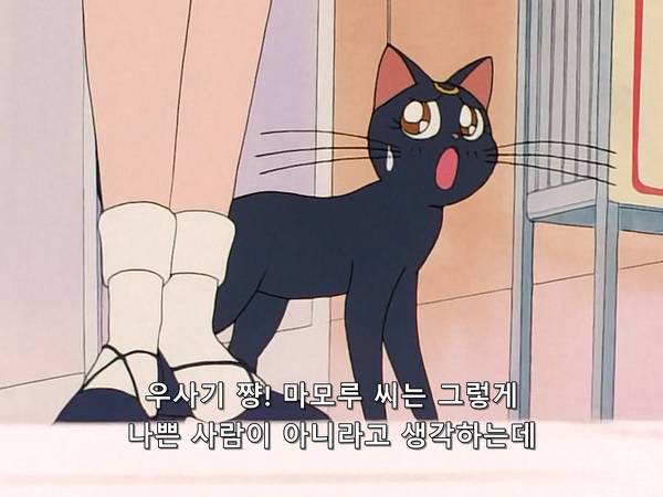 미소녀 전사 세일러문 (美少女戦士セーラームーン) 15 | 인스티즈