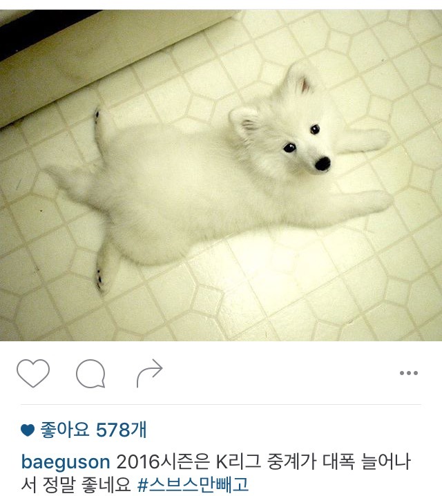 자기 회사 디스하는 배짱잘 | 인스티즈