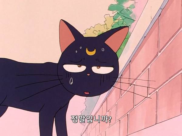 미소녀 전사 세일러문 (美少女戦士セーラームーン) 15 | 인스티즈