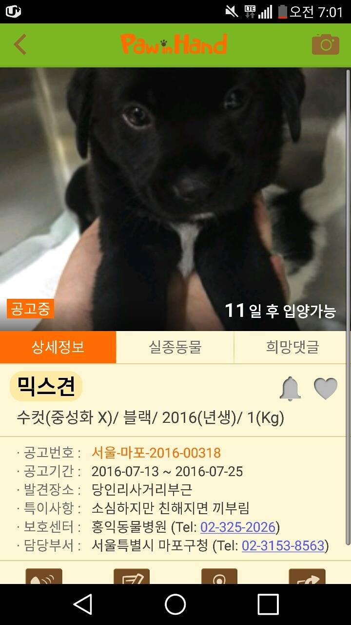 유기견의 특이사항 | 인스티즈