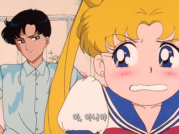 미소녀 전사 세일러문 (美少女戦士セーラームーン) 15 | 인스티즈