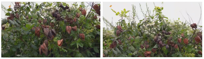 바다를 여행하는 씨앗 | 인스티즈