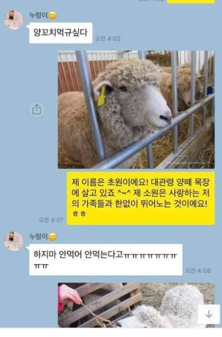 친구가 다이어트 도우미 | 인스티즈