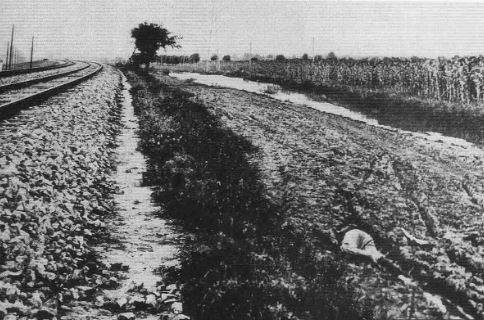  나는 일본군입니다. 그러나 잊지 말아 주세요 | 인스티즈