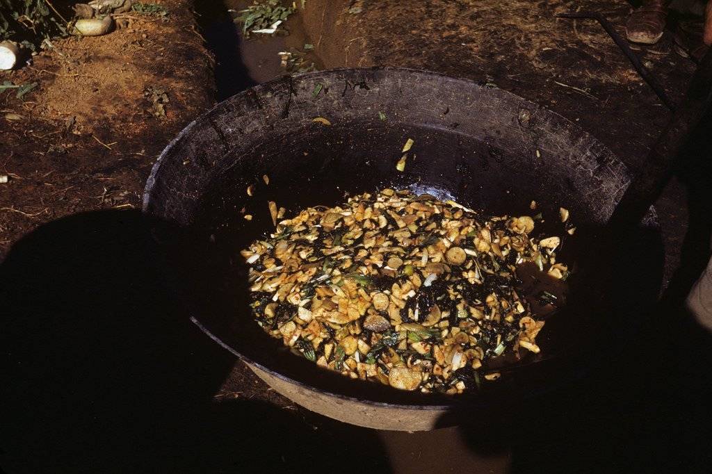 1952년도의 한국 | 인스티즈