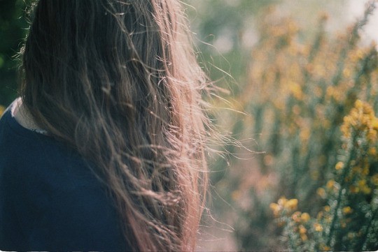  가까이 다가갈 수 없었습니다 | 인스티즈