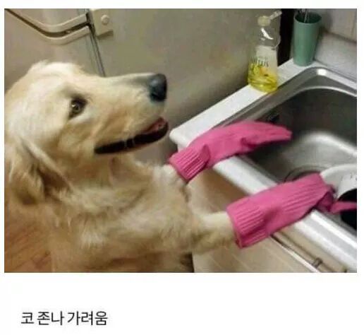 설거지할 때 공감.JPG | 인스티즈