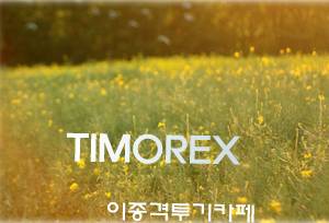 게임강국의 화려한 귀한 그리고 데자뷰 | 인스티즈