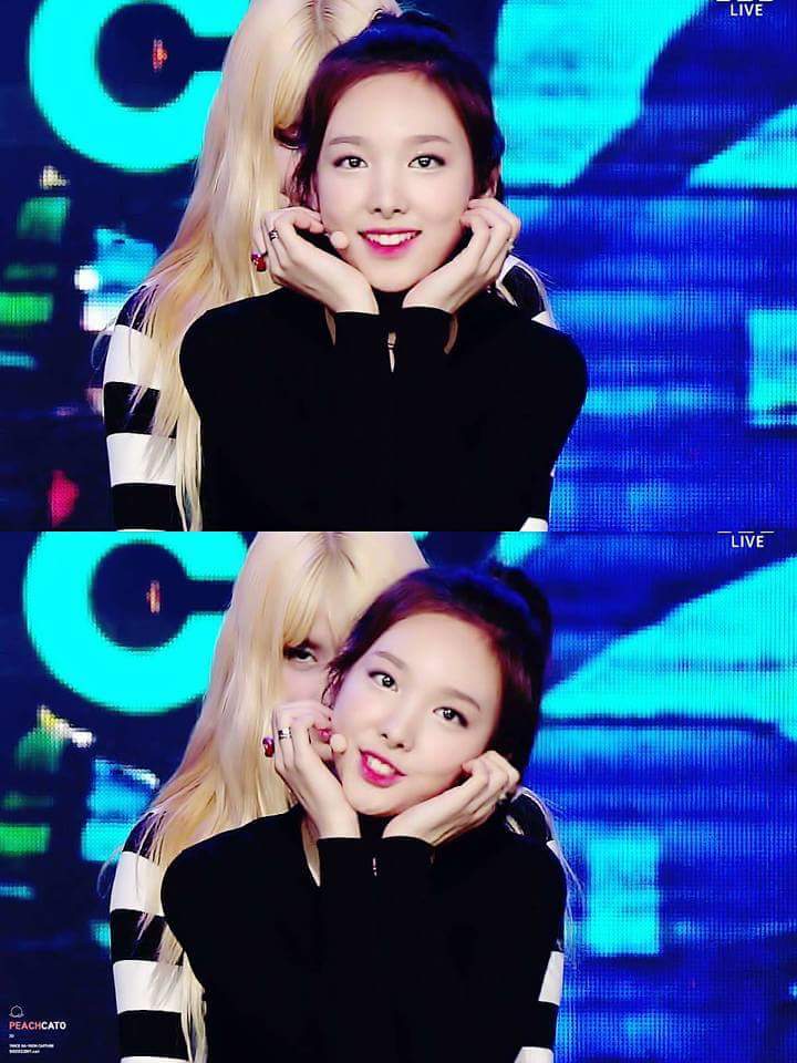 트와이스 두부 꾹꾹이 아기맹수 | 인스티즈