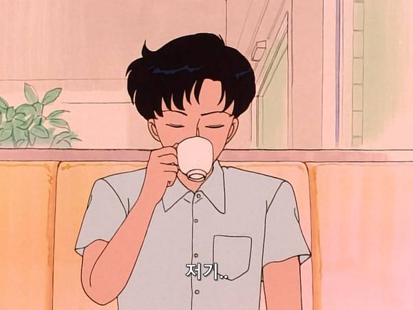 미소녀 전사 세일러문 (美少女戦士セーラームーン) 15 | 인스티즈