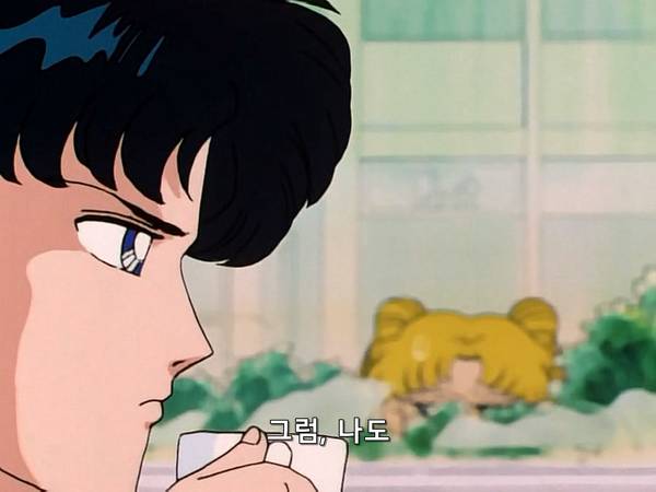 미소녀 전사 세일러문 (美少女戦士セーラームーン) 15 | 인스티즈