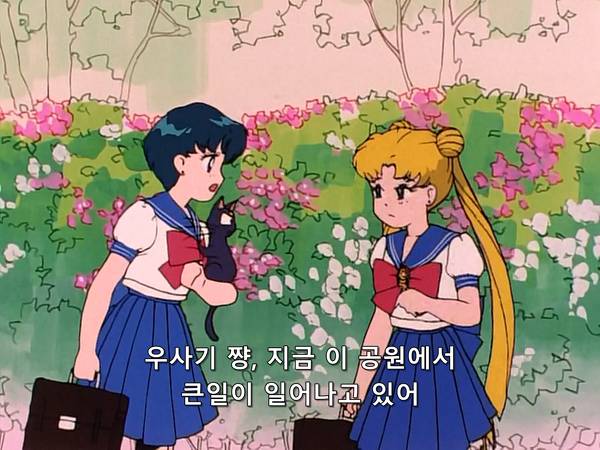 미소녀 전사 세일러문 (美少女戦士セーラームーン) 15 | 인스티즈