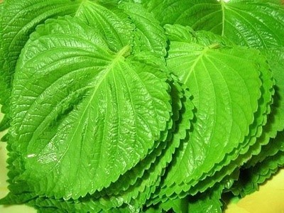 호불호가 확실한 야채들 | 인스티즈