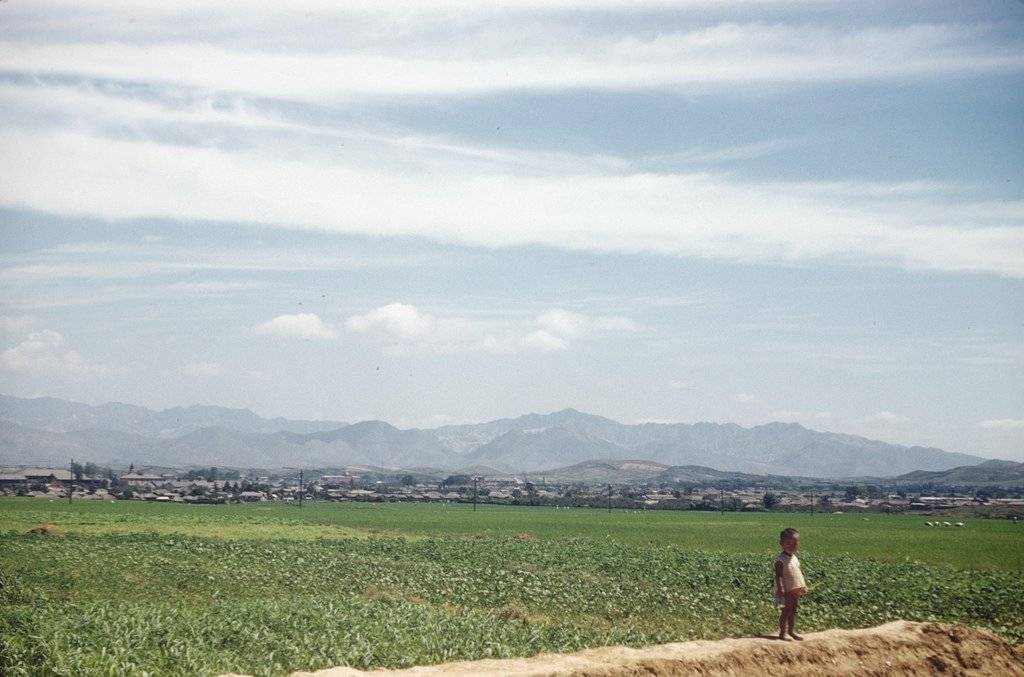 1952년도의 한국 | 인스티즈