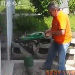 이거 마시면서 해 | 인스티즈