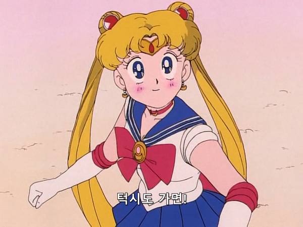 미소녀 전사 세일러문 (美少女戦士セーラームーン) 15 | 인스티즈