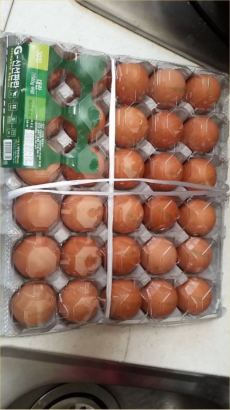 계란 말이를 말아봤습니다 | 인스티즈