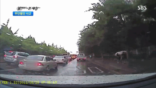 심장이 철컹 [분노주의] | 인스티즈