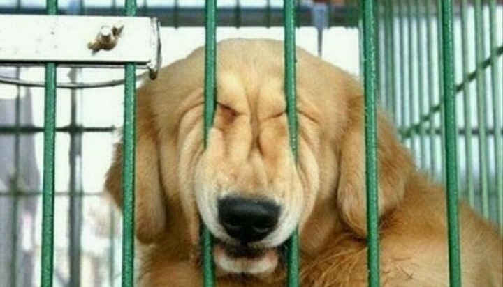 내 최애라면 나의 반응은? | 인스티즈