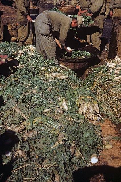 1952년도의 한국 | 인스티즈