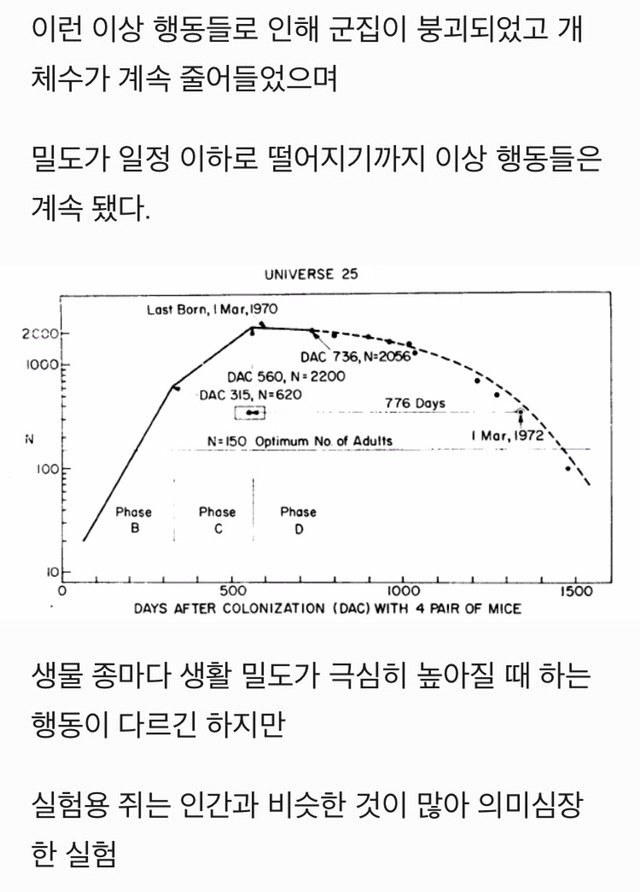 인구 밀도가 높아지면 생기는 일 | 인스티즈