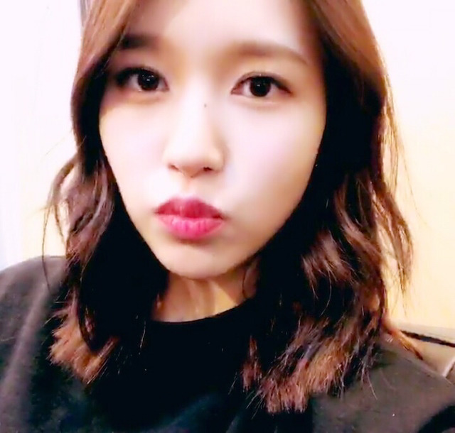 미나리 안무 비교 | 인스티즈