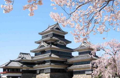 브렉시트에 덕질 타격받는 덕후들 | 인스티즈