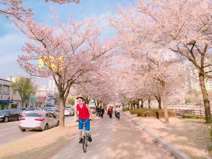 봄엔 역시 원피스.jpg | 인스티즈