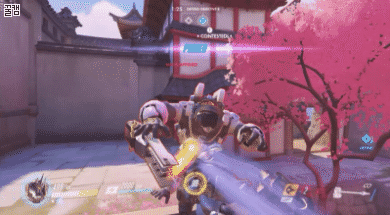 오버워치) 원숭이 박제 | 인스티즈