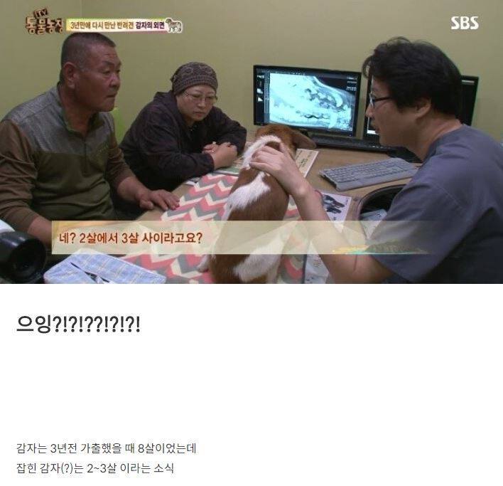 잃어버린 개를 3년만에 찾은 아저씨 | 인스티즈