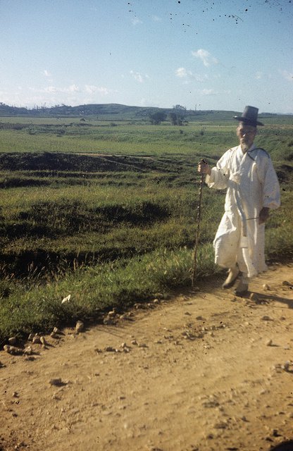 1952년도의 한국 | 인스티즈