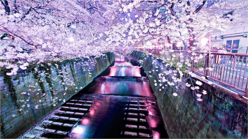 동양의 멋.jpg | 인스티즈