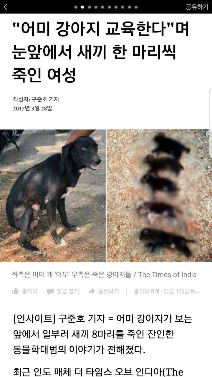 어미견 보는 앞에서 새끼들 차례로 죽인 XXX | 인스티즈